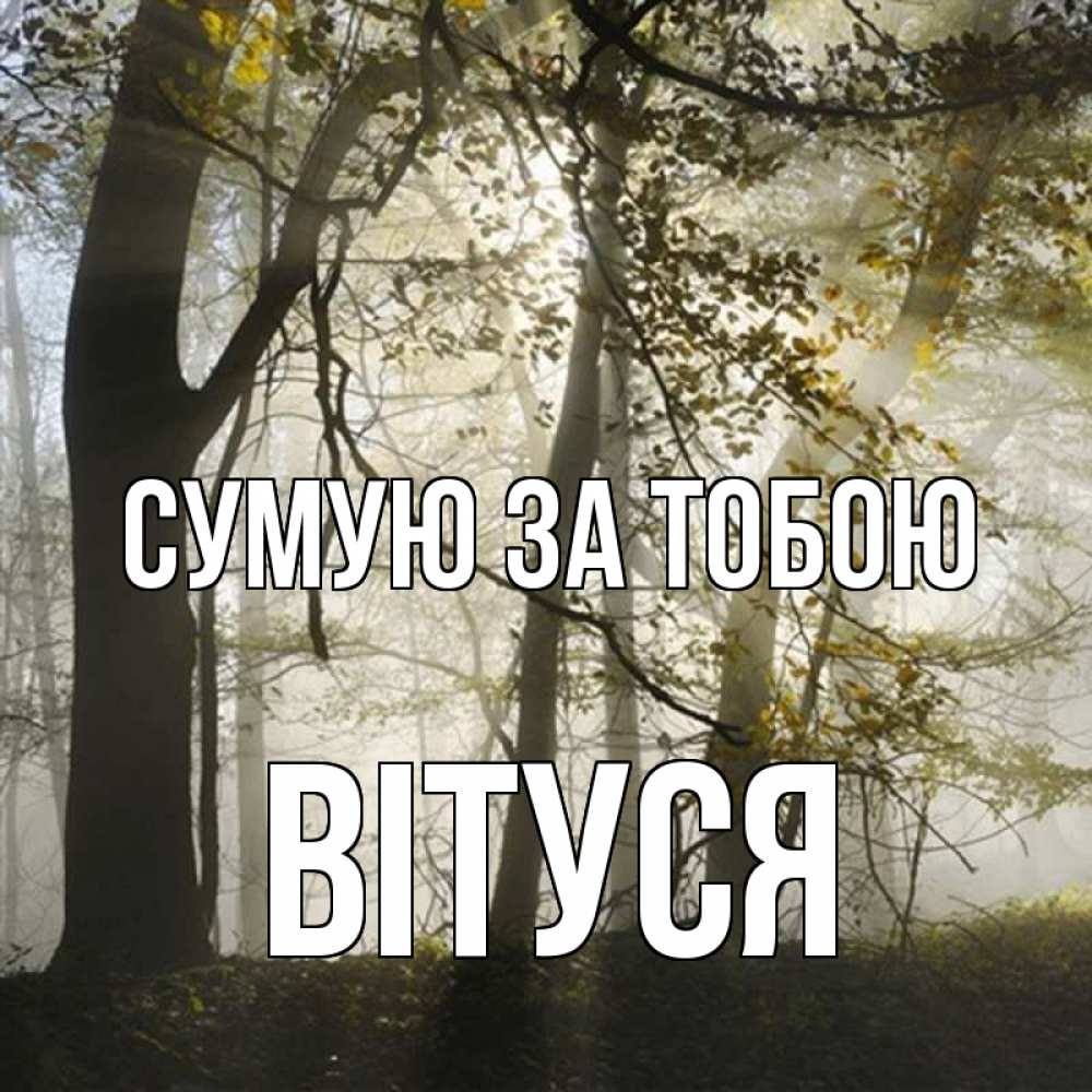 Открытка на каждый день з підписом, Вітуся Сумую за тобою грустно Прикольна листівка з побажанням онлайн скачати безкоштовно 