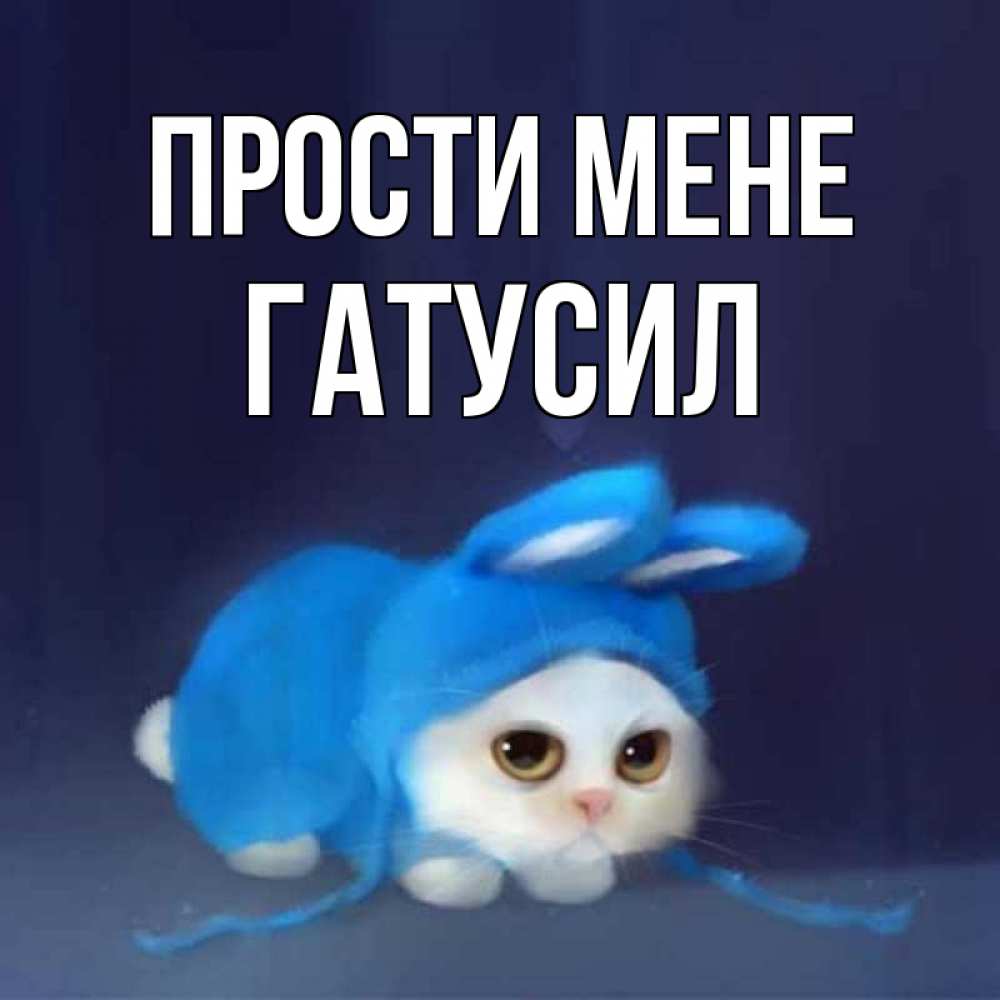 Открытка на каждый день з підписом, Гатусил Прости мене невинный котозай просит прощения Прикольна листівка з побажанням онлайн скачати безкоштовно 