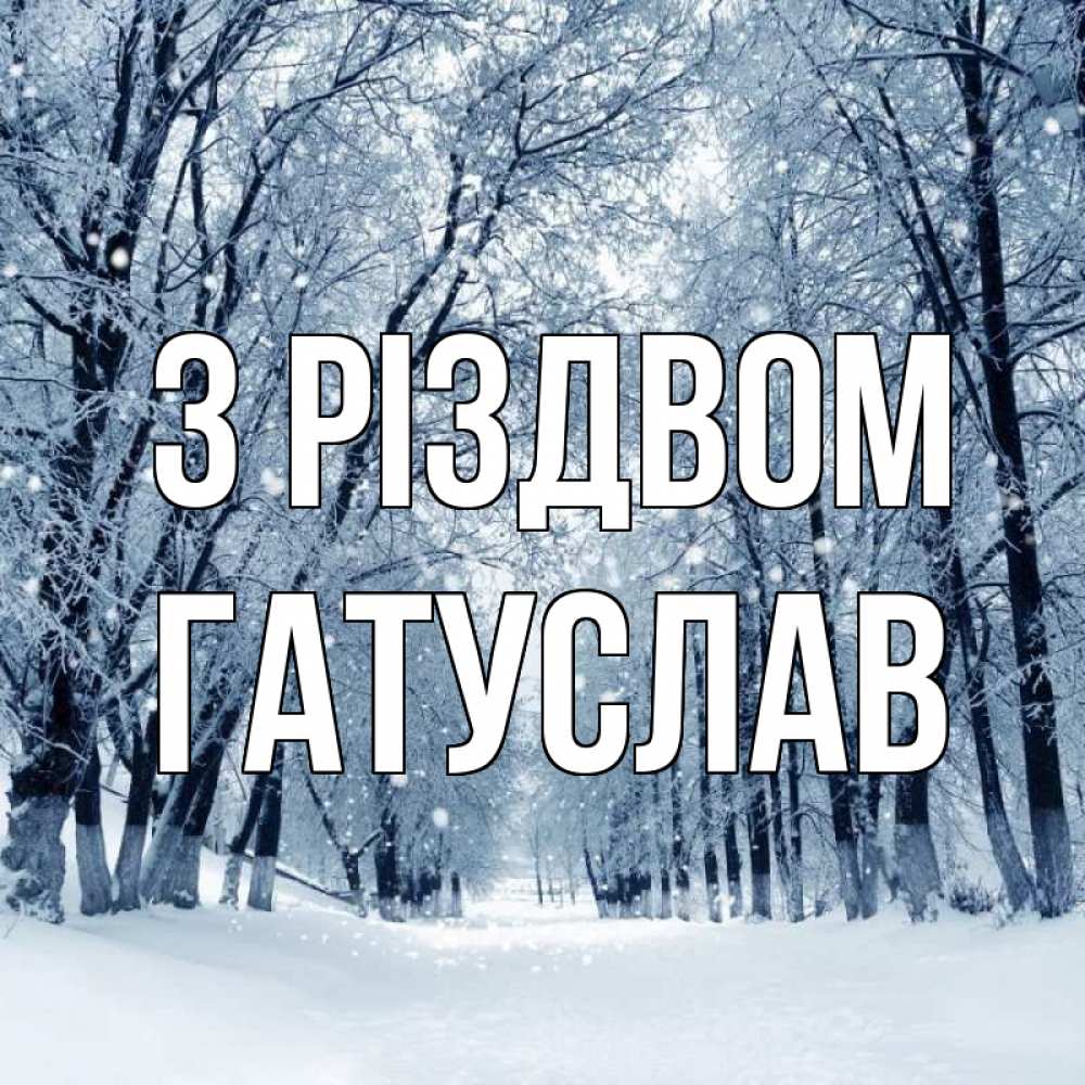 Открытка на каждый день з підписом, Гатуслав З Різдвом снег, лес, парк Прикольна листівка з побажанням онлайн скачати безкоштовно 