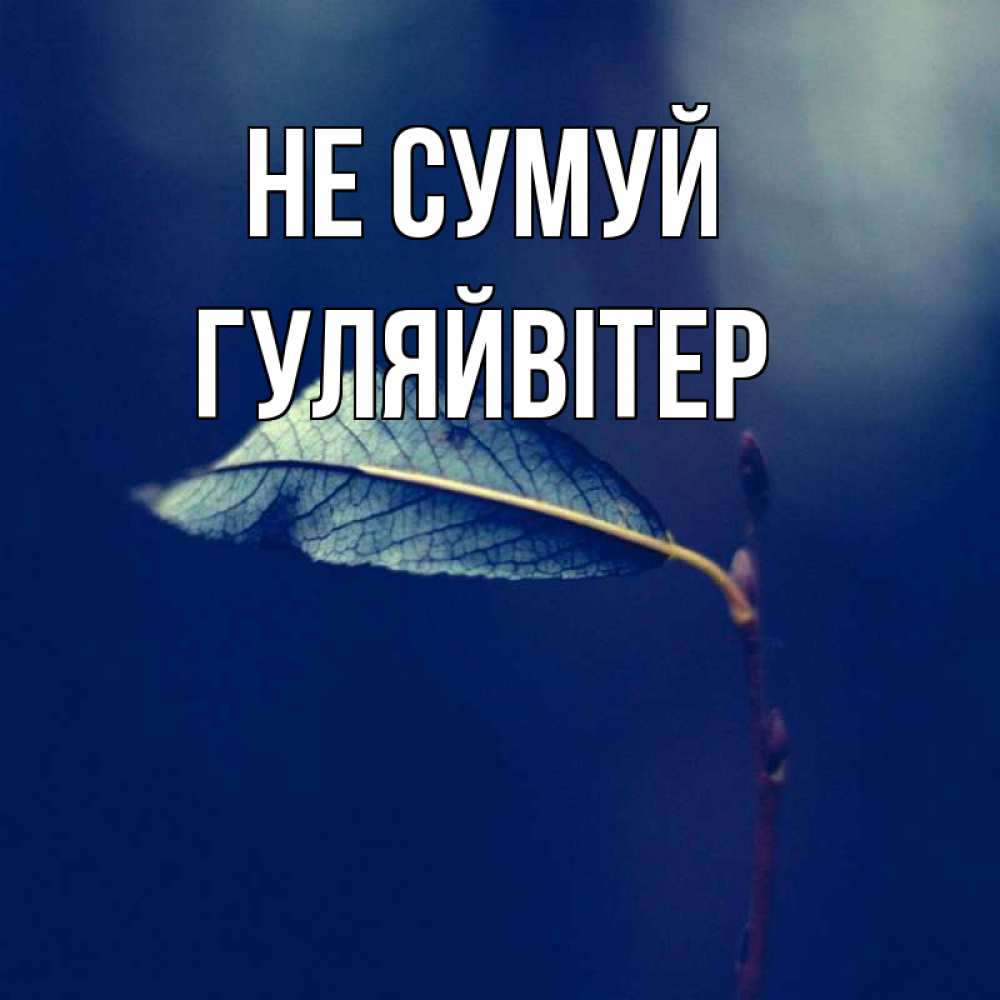 Открытка на каждый день з підписом, Гуляйвітер Не сумуй растение Прикольна листівка з побажанням онлайн скачати безкоштовно 