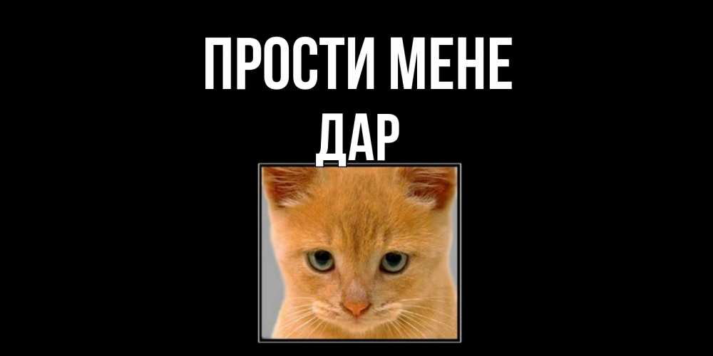 Открытка на каждый день з підписом, Дар Прости мене рыжий грустный кот просит прощения Прикольна листівка з побажанням онлайн скачати безкоштовно 