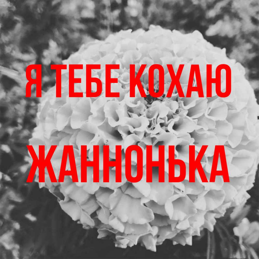 Открытка на каждый день з підписом, Жаннонька Я тебе кохаю подпись Прикольна листівка з побажанням онлайн скачати безкоштовно 