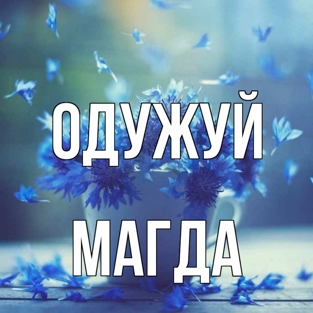 Открытка на каждый день з підписом, Магда Одужуй кружка с зельем и цветами Прикольна листівка з побажанням онлайн скачати безкоштовно 
