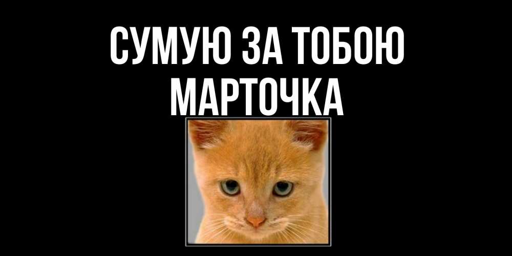 Открытка на каждый день з підписом, Марточка Сумую за тобою открытки рыжий котенок скучает по тебе Прикольна листівка з побажанням онлайн скачати безкоштовно 
