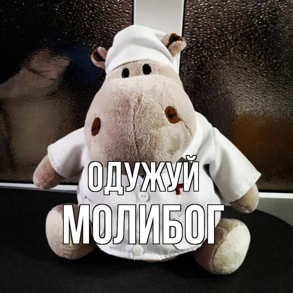 Открытка на каждый день з підписом, Молибог Одужуй всех излечит исцелит Прикольна листівка з побажанням онлайн скачати безкоштовно 