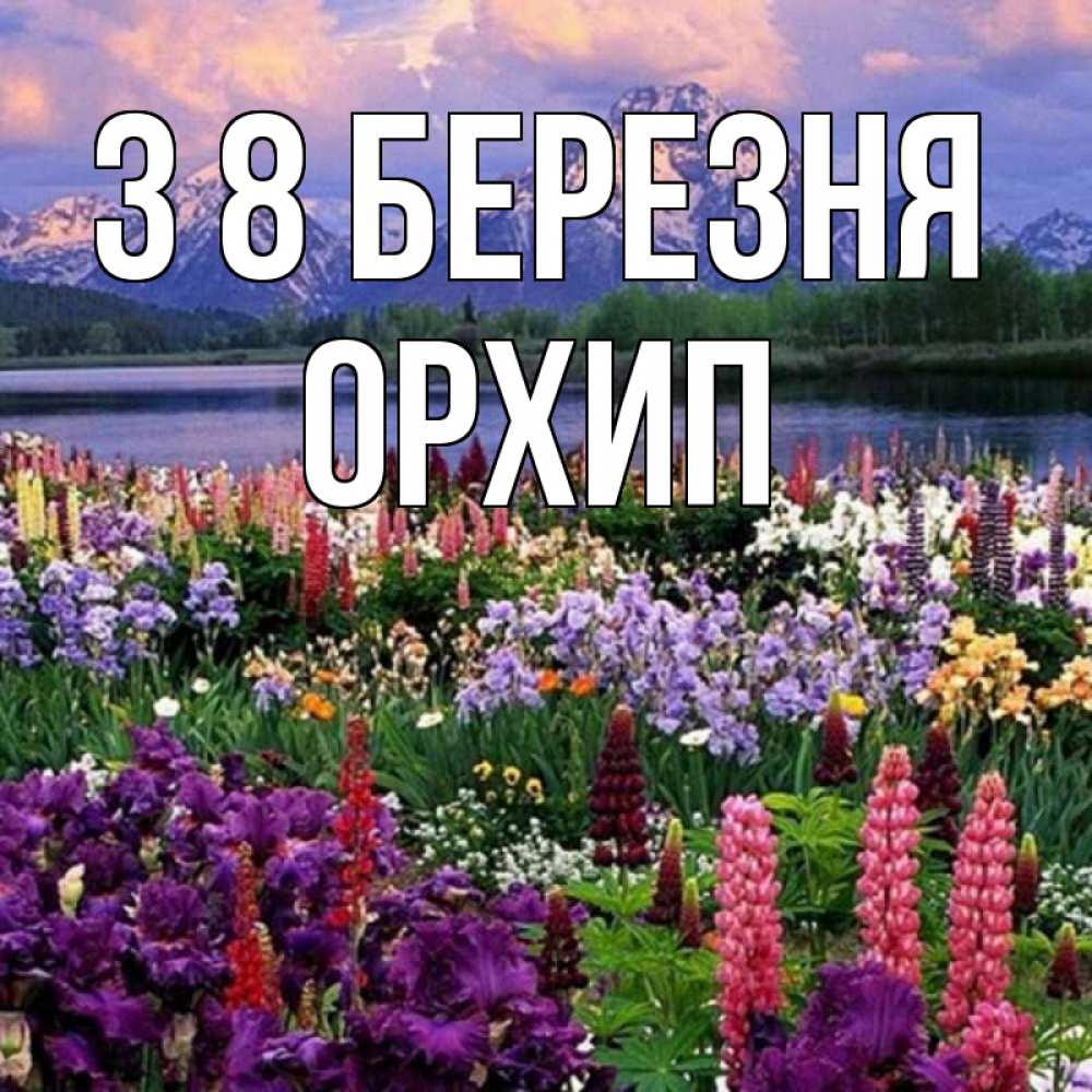 Открытка на каждый день з підписом, Орхип З 8 БЕРЕЗНЯ международный женский день Прикольна листівка з побажанням онлайн скачати безкоштовно 