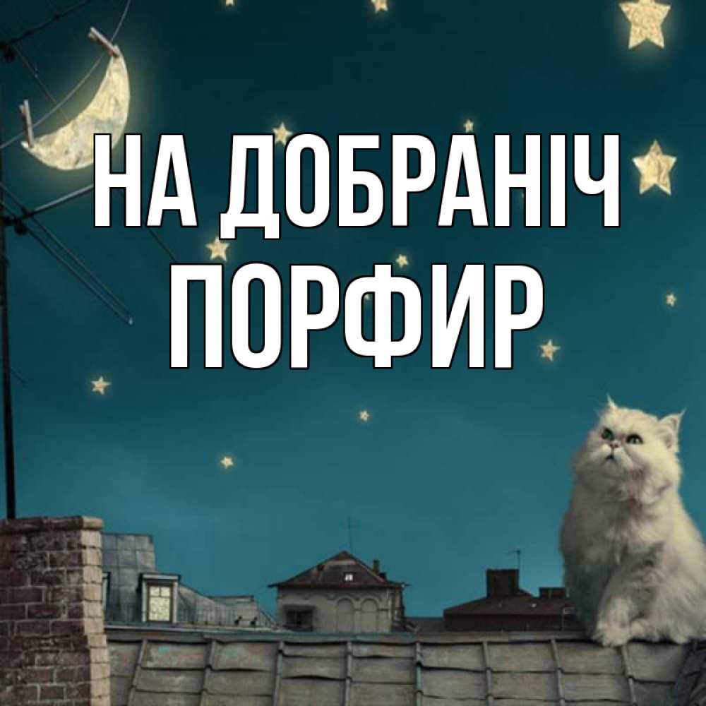 Открытка на каждый день з підписом, Порфир На добраніч белый кот сидит на крыше Прикольна листівка з побажанням онлайн скачати безкоштовно 