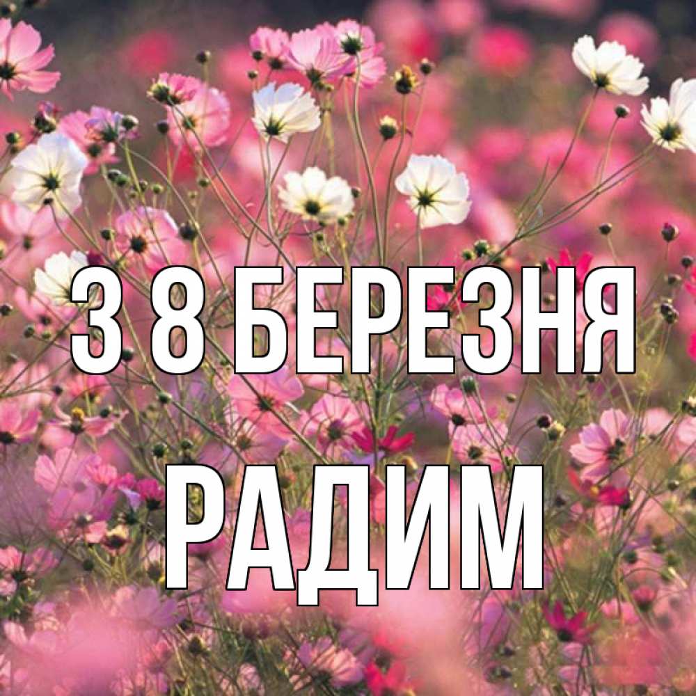 Открытка на каждый день з підписом, Радим З 8 БЕРЕЗНЯ красиво 1 Прикольна листівка з побажанням онлайн скачати безкоштовно 