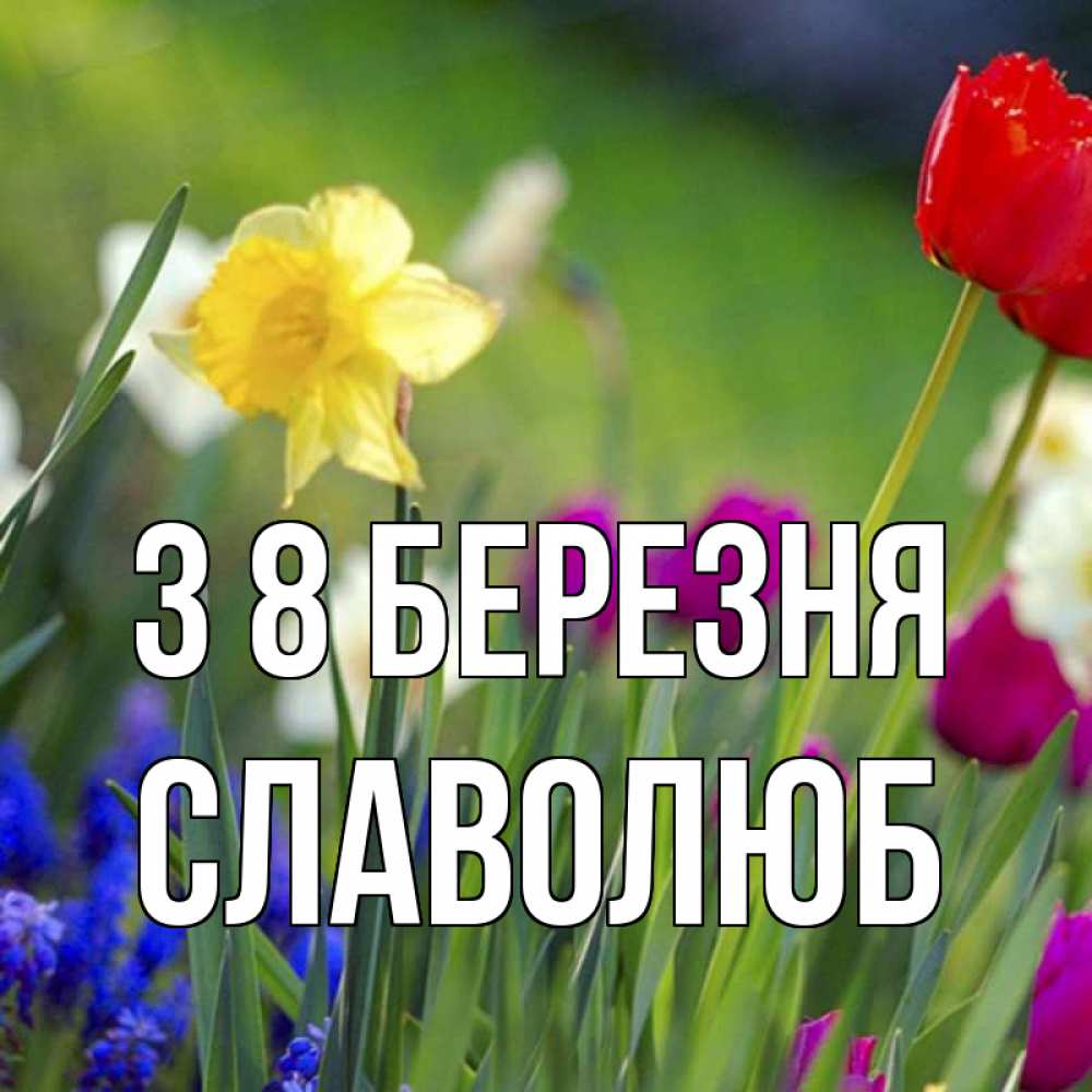 Открытка на каждый день з підписом, Славолюб З 8 БЕРЕЗНЯ международный женский день 3 Прикольна листівка з побажанням онлайн скачати безкоштовно 