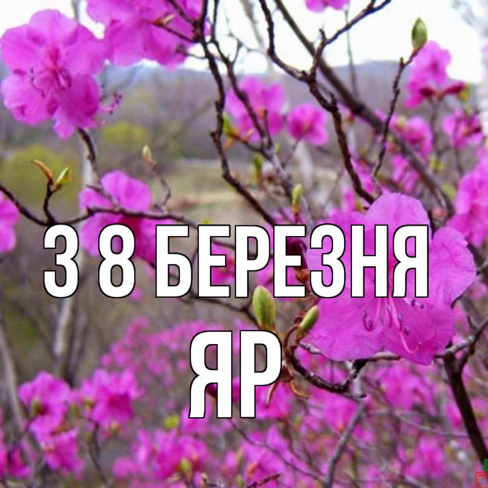 Открытка на каждый день з підписом, Яр З 8 БЕРЕЗНЯ международный женский день Прикольна листівка з побажанням онлайн скачати безкоштовно 