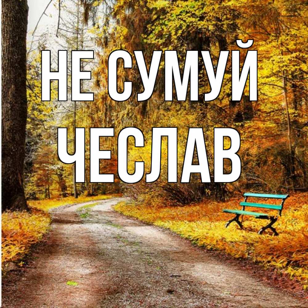 Открытка на каждый день з підписом, Чеслав Не сумуй зеленая лавочка Прикольна листівка з побажанням онлайн скачати безкоштовно 