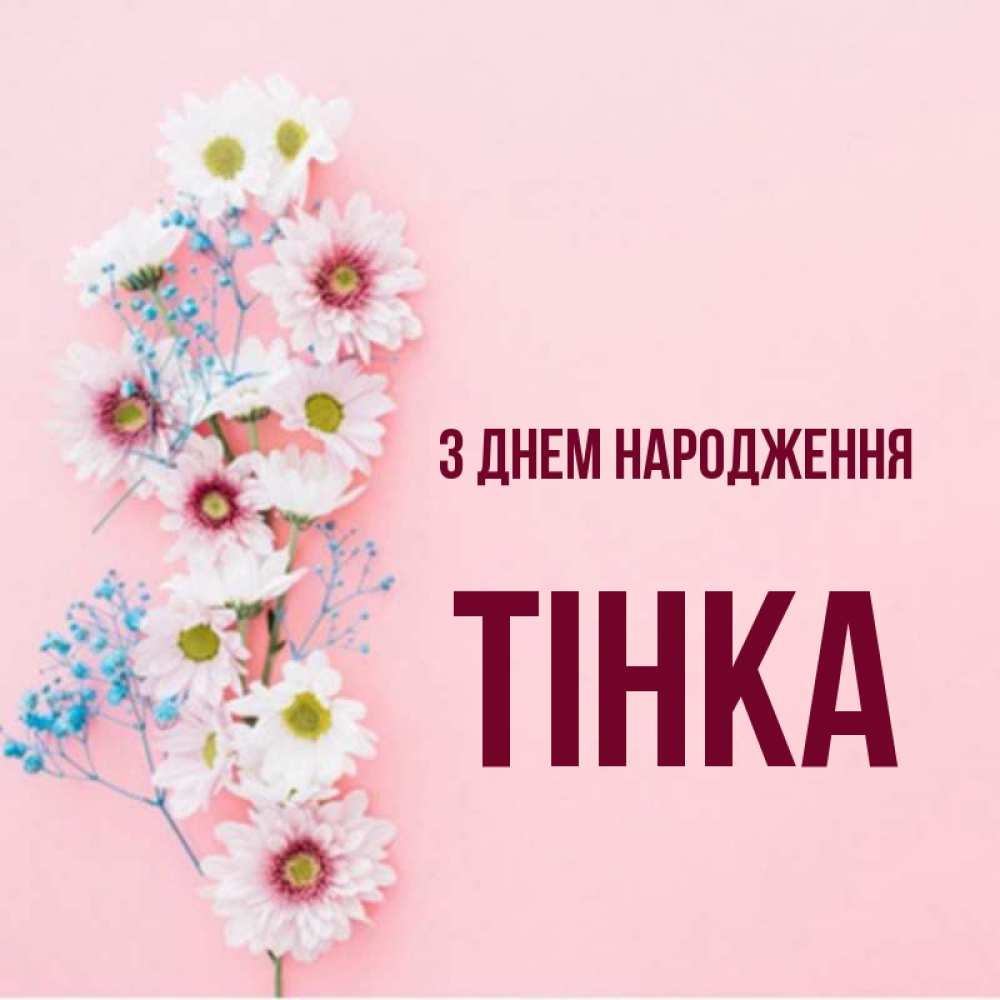 Открытка на каждый день з підписом, Тінка З Днем народження Родная моя с днем рождения тебя картинка с цветами белыми и голубыми Прикольна листівка з побажанням онлайн скачати безкоштовно 