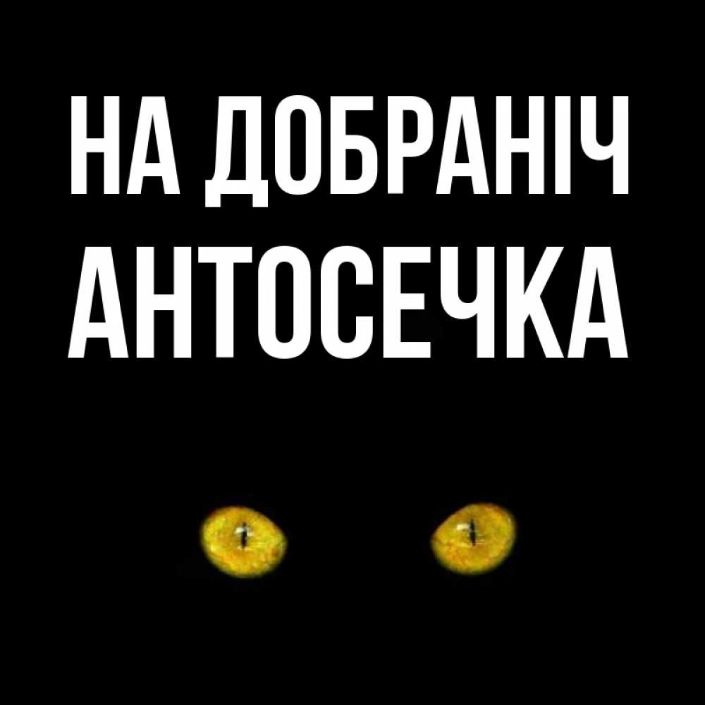 Открытка на каждый день з підписом, Антосечка На добраніч сладких снов бесстрашный мой дружочек Прикольна листівка з побажанням онлайн скачати безкоштовно 