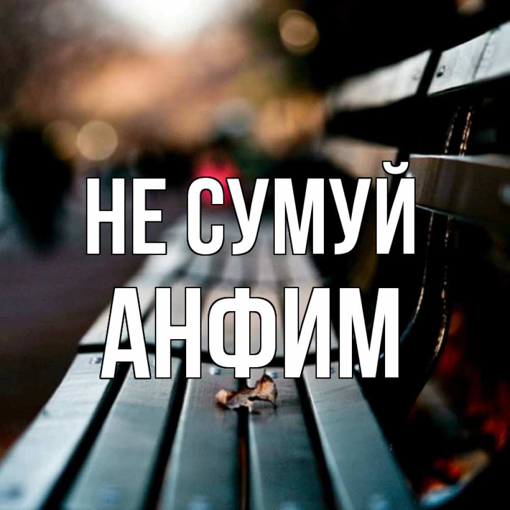 Открытка на каждый день з підписом, Анфим Не сумуй размытый фон Прикольна листівка з побажанням онлайн скачати безкоштовно 