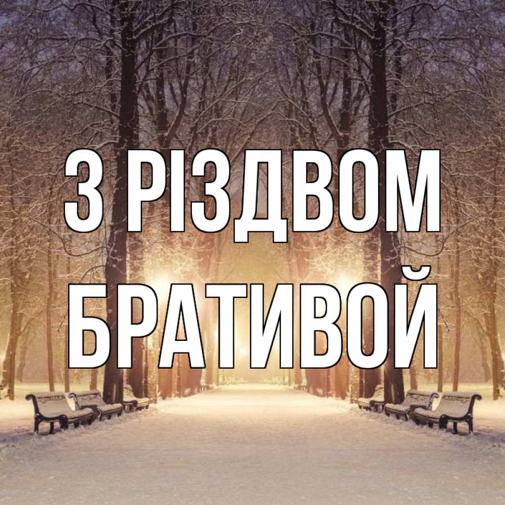 Открытка на каждый день з підписом, Бративой З Різдвом зима, парк, фонарь, лес Прикольна листівка з побажанням онлайн скачати безкоштовно 