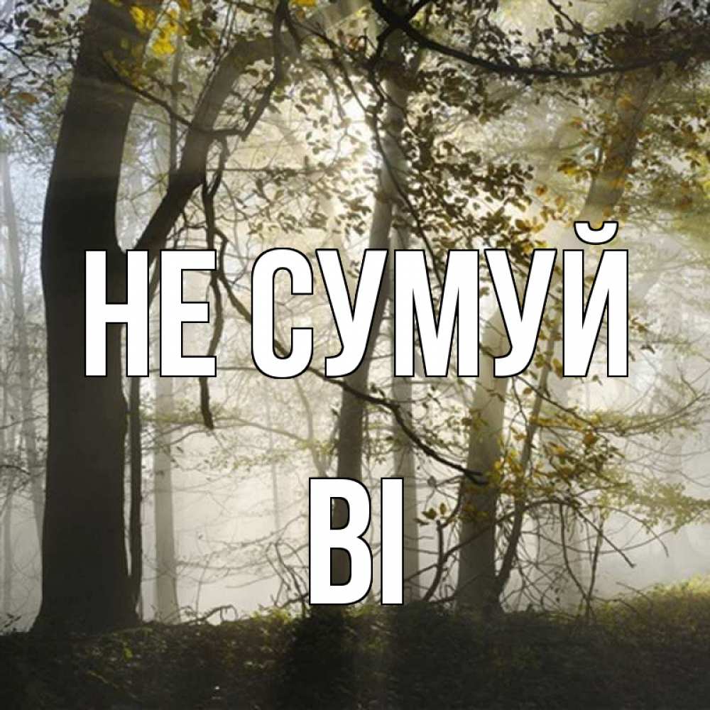 Открытка на каждый день з підписом, Ві Не сумуй лес и свет Прикольна листівка з побажанням онлайн скачати безкоштовно 