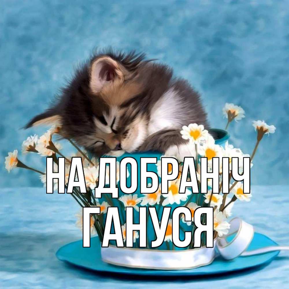 Открытка на каждый день з підписом, Гануся На добраніч котенок спит в кружке с блюдцем Прикольна листівка з побажанням онлайн скачати безкоштовно 