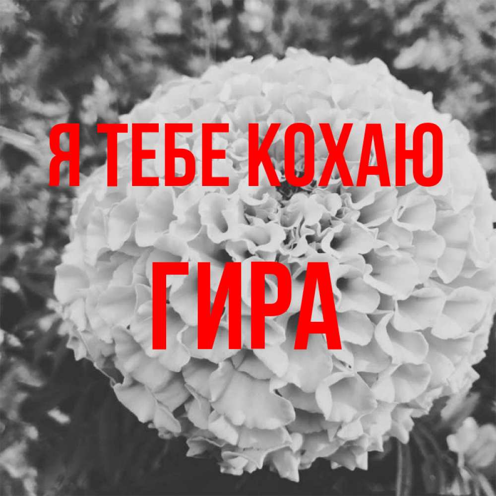 Открытка на каждый день з підписом, Гира Я тебе кохаю подпись Прикольна листівка з побажанням онлайн скачати безкоштовно 