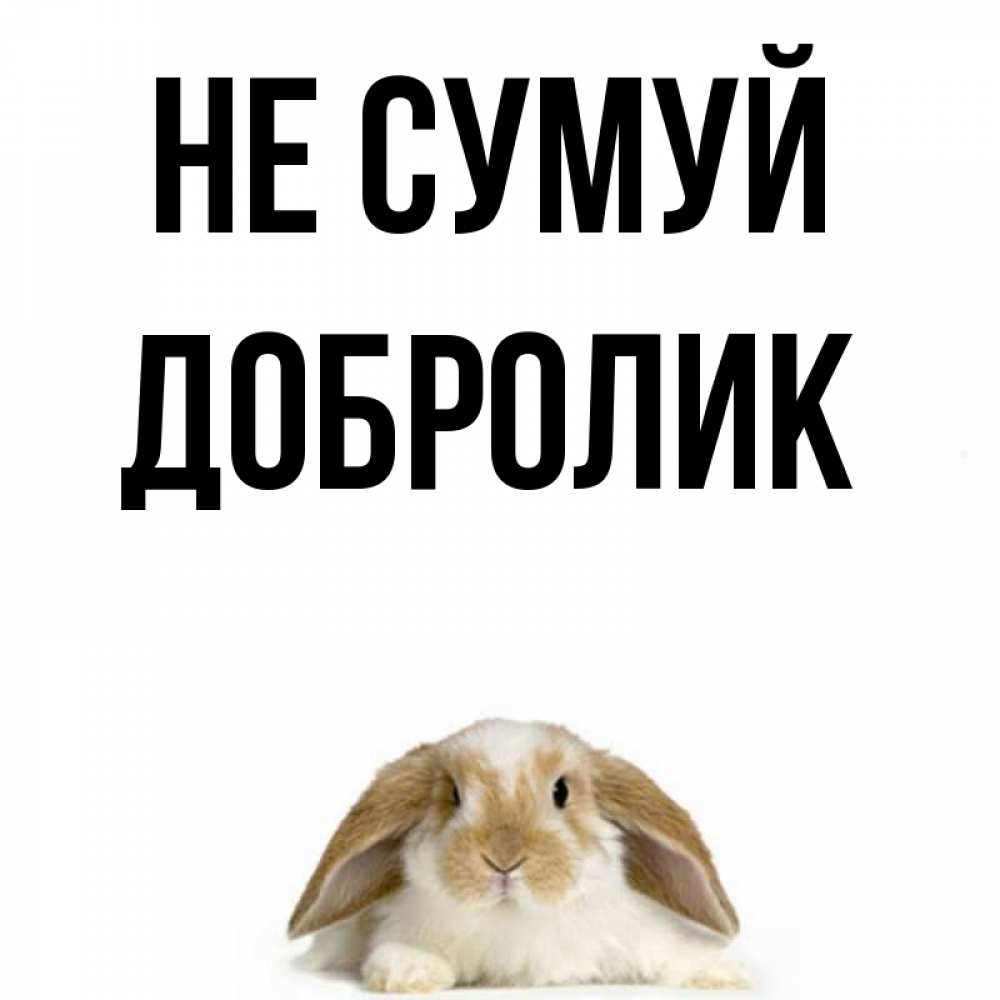 Открытка на каждый день з підписом, Добролик Не сумуй коричнево белый заяц с большими ушками Прикольна листівка з побажанням онлайн скачати безкоштовно 