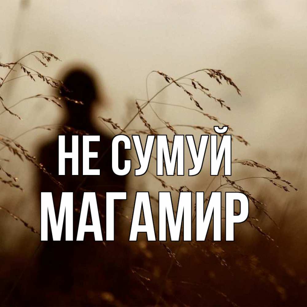 Открытка на каждый день з підписом, Магамир Не сумуй грусть Прикольна листівка з побажанням онлайн скачати безкоштовно 