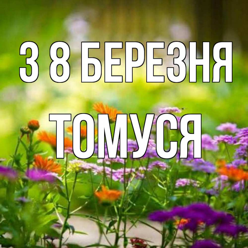 Открытка на каждый день з підписом, Томуся З 8 БЕРЕЗНЯ цветы Прикольна листівка з побажанням онлайн скачати безкоштовно 