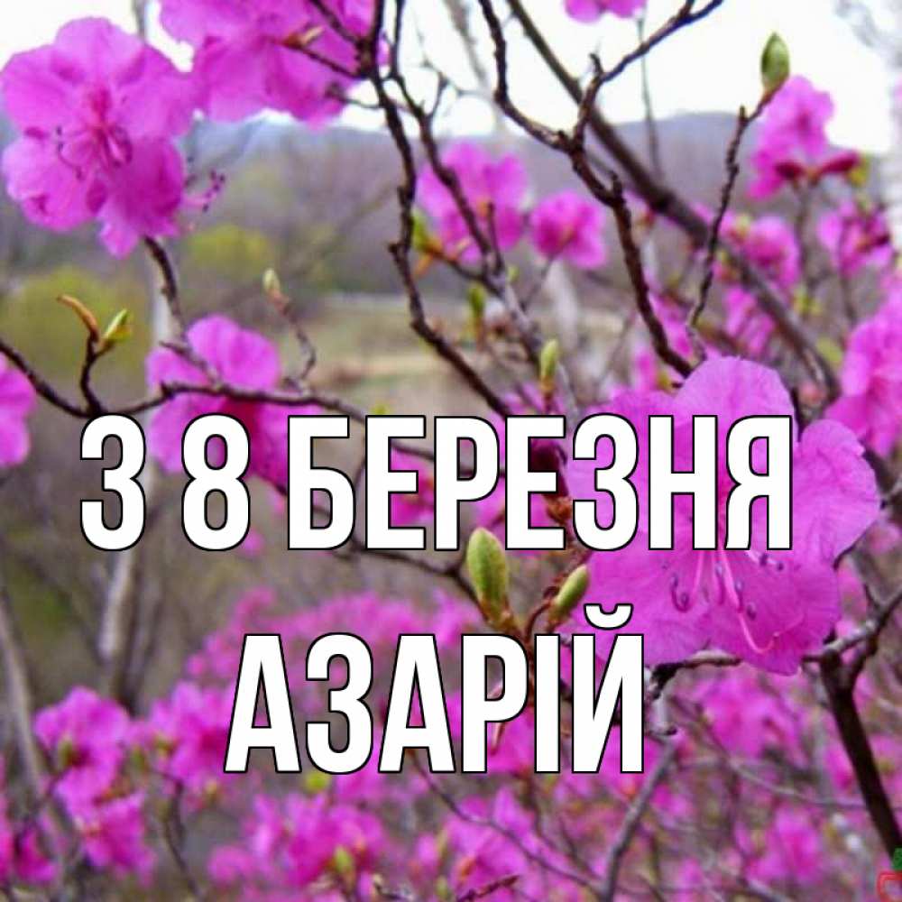 Открытка на каждый день з підписом, Азарій З 8 БЕРЕЗНЯ международный женский день Прикольна листівка з побажанням онлайн скачати безкоштовно 