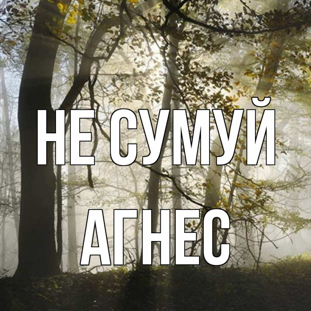 Открытка на каждый день з підписом, Агнес Не сумуй лес и свет Прикольна листівка з побажанням онлайн скачати безкоштовно 