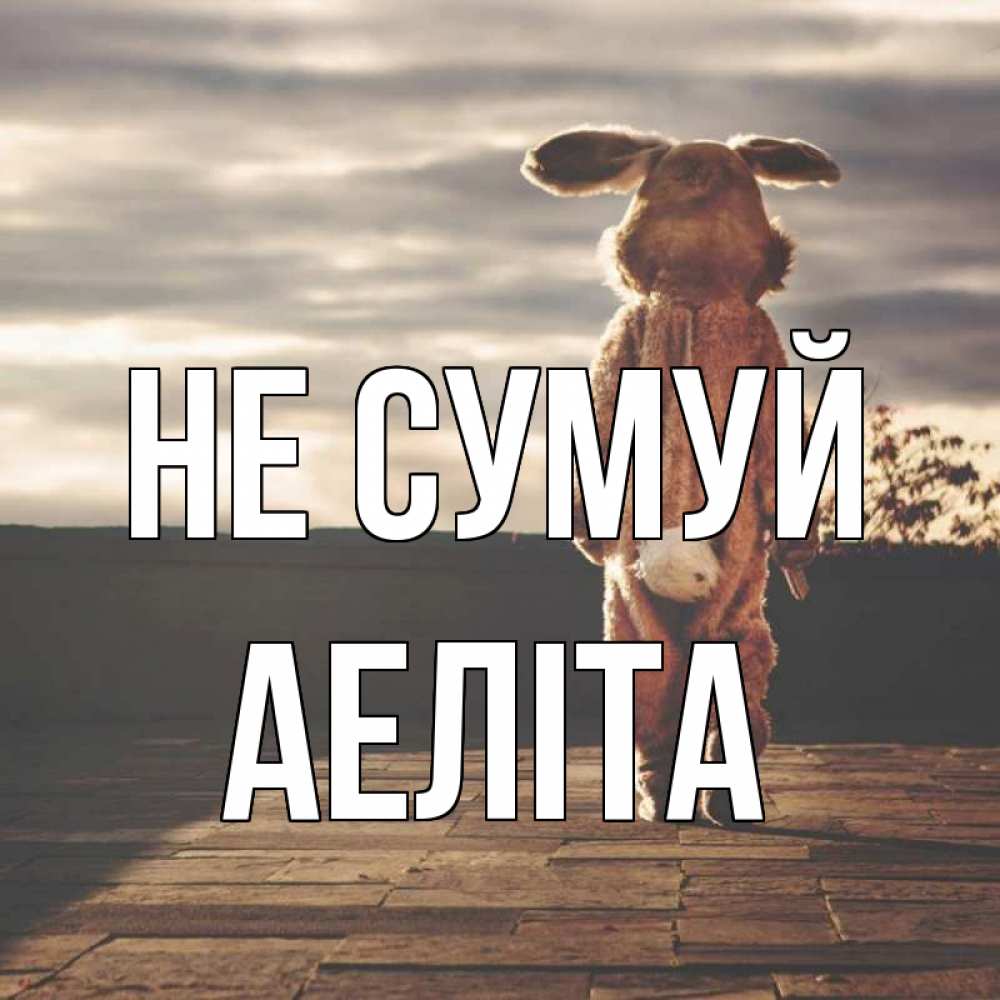 Открытка на каждый день з підписом, Аеліта Не сумуй со спины Прикольна листівка з побажанням онлайн скачати безкоштовно 