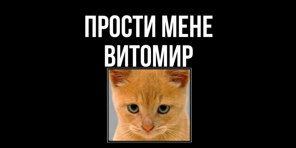 Открытка на каждый день з підписом, Витомир Прости мене рыжий грустный кот просит прощения Прикольна листівка з побажанням онлайн скачати безкоштовно 