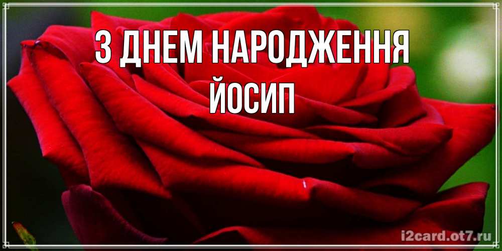Открытка на каждый день з підписом, Йосип З Днем народження розочка очень красивая Прикольна листівка з побажанням онлайн скачати безкоштовно 
