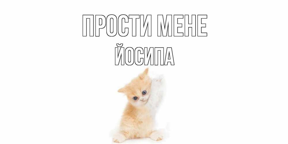 Открытка на каждый день з підписом, Йосипа Прости мене кот Прикольна листівка з побажанням онлайн скачати безкоштовно 