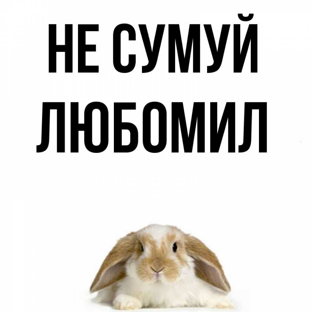 Открытка на каждый день з підписом, Любомил Не сумуй коричнево белый заяц с большими ушками Прикольна листівка з побажанням онлайн скачати безкоштовно 