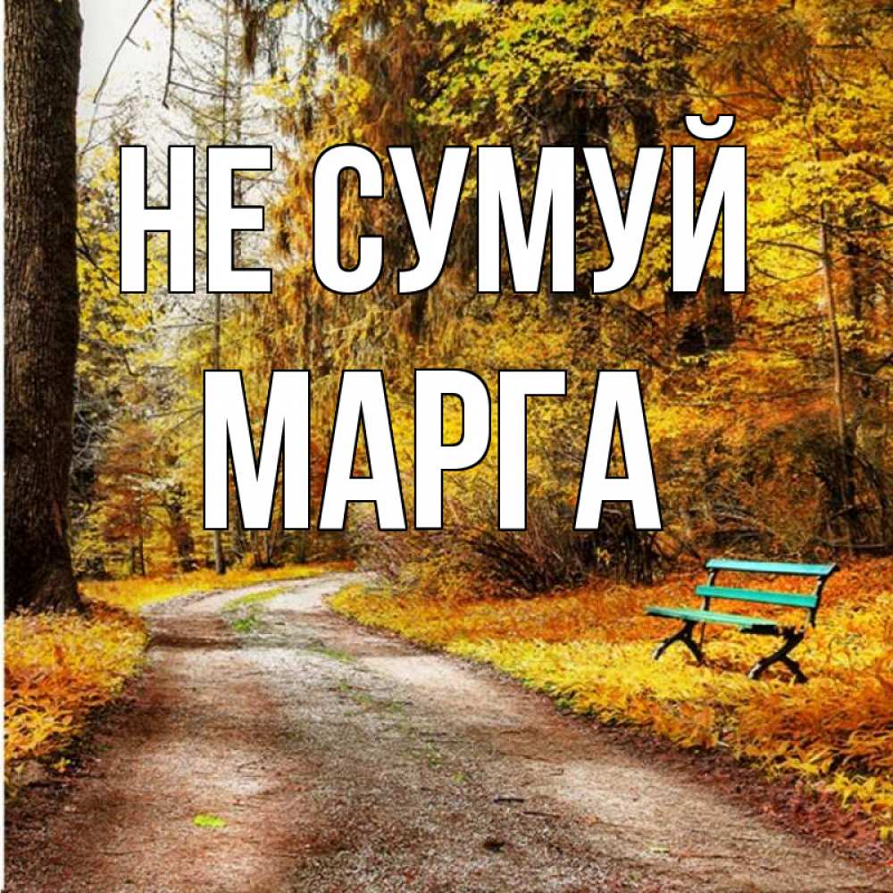 Открытка на каждый день з підписом, Марга Не сумуй зеленая лавочка Прикольна листівка з побажанням онлайн скачати безкоштовно 