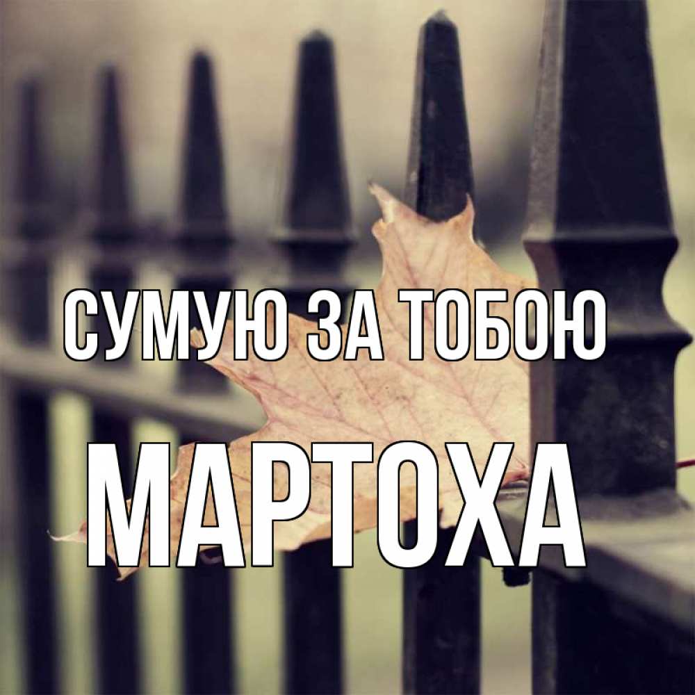 Открытка на каждый день з підписом, Мартоха Сумую за тобою очень скучно Прикольна листівка з побажанням онлайн скачати безкоштовно 