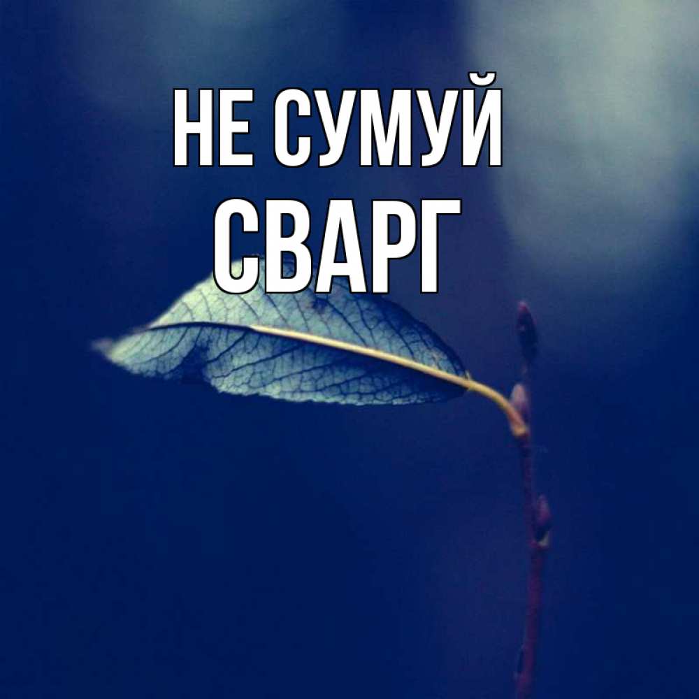 Открытка на каждый день з підписом, Сварг Не сумуй растение Прикольна листівка з побажанням онлайн скачати безкоштовно 