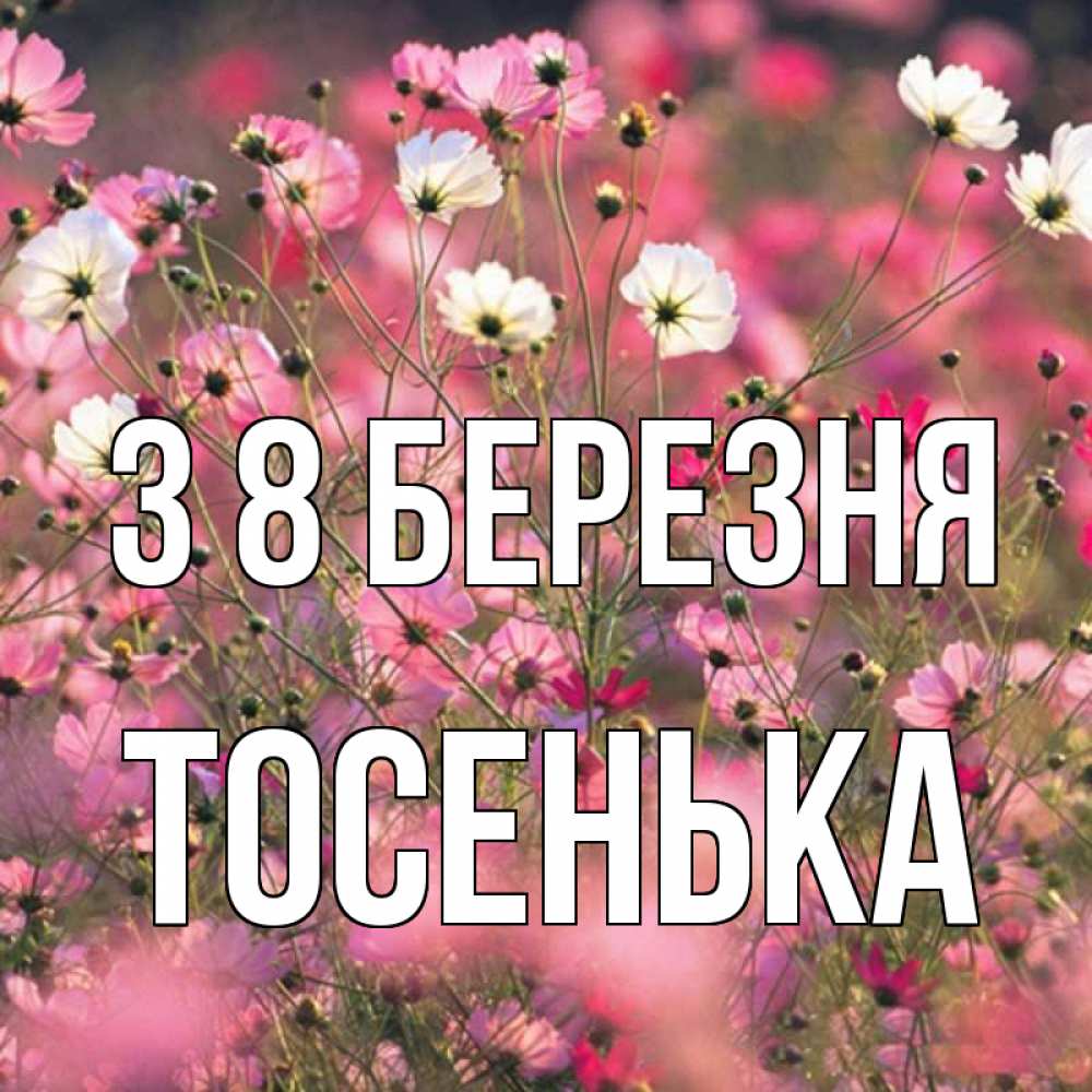 Открытка на каждый день з підписом, Тосенька З 8 БЕРЕЗНЯ красиво 1 Прикольна листівка з побажанням онлайн скачати безкоштовно 