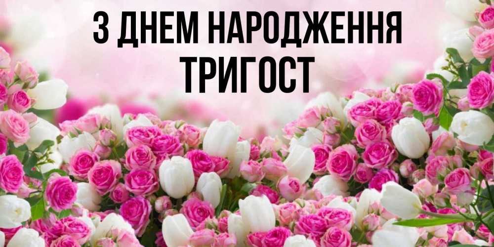 Открытка на каждый день з підписом, Тригост З Днем народження открытка с разными розами Прикольна листівка з побажанням онлайн скачати безкоштовно 
