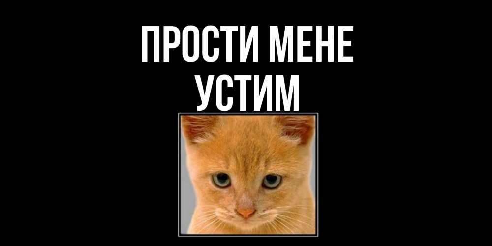 Открытка на каждый день з підписом, Устим Прости мене рыжий грустный кот просит прощения Прикольна листівка з побажанням онлайн скачати безкоштовно 