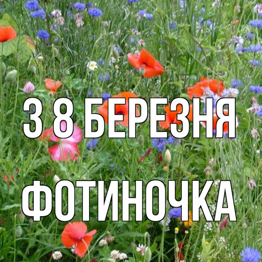 Открытка на каждый день з підписом, Фотиночка З 8 БЕРЕЗНЯ международный женский день 4 Прикольна листівка з побажанням онлайн скачати безкоштовно 