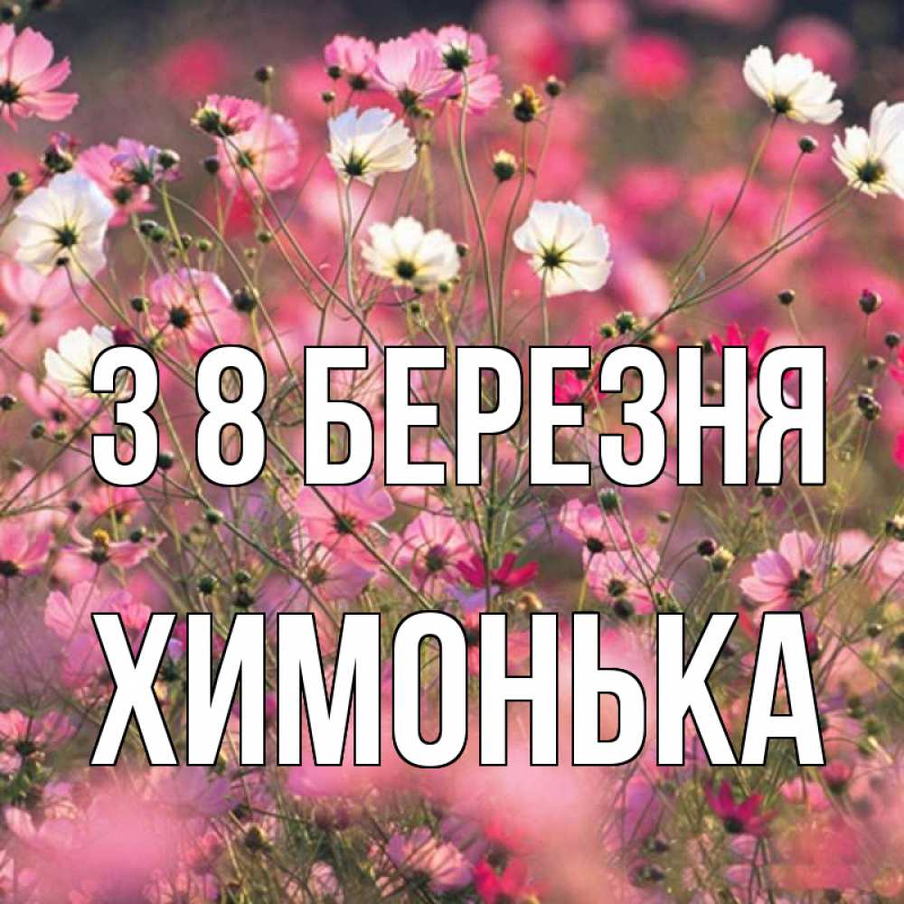 Открытка на каждый день з підписом, Химонька З 8 БЕРЕЗНЯ красиво 1 Прикольна листівка з побажанням онлайн скачати безкоштовно 