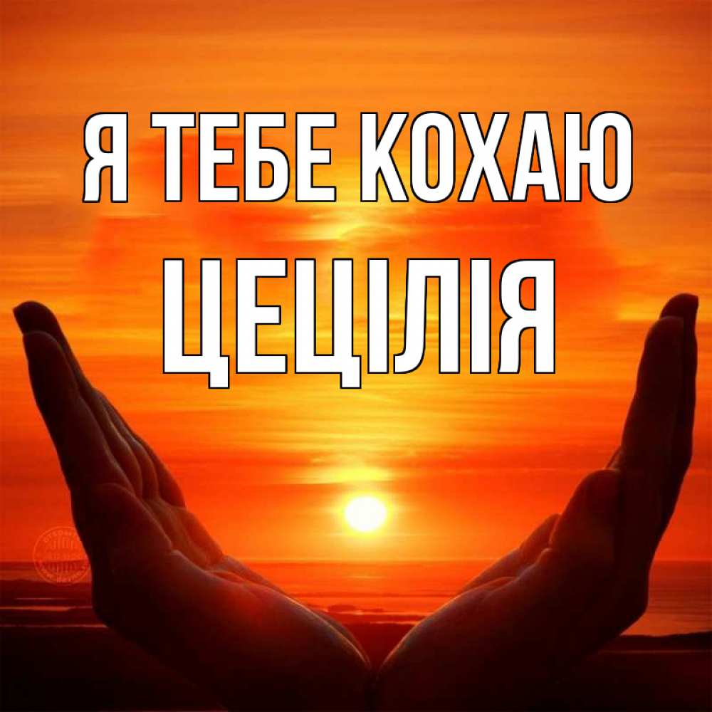 Открытка на каждый день з підписом, Цецілія Я тебе кохаю в руках Прикольна листівка з побажанням онлайн скачати безкоштовно 