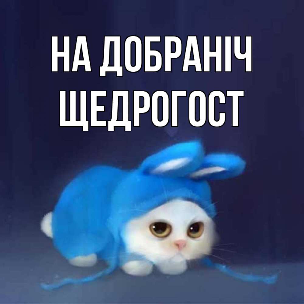 Открытка на каждый день з підписом, Щедрогост На добраніч кот в голубом костюме кролика с ушками Прикольна листівка з побажанням онлайн скачати безкоштовно 