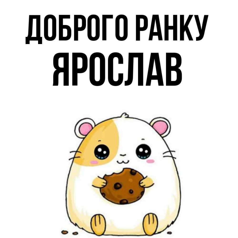 Открытка на каждый день з підписом, Ярослав Доброго ранку есть печеньку. Утречко Прикольна листівка з побажанням онлайн скачати безкоштовно 