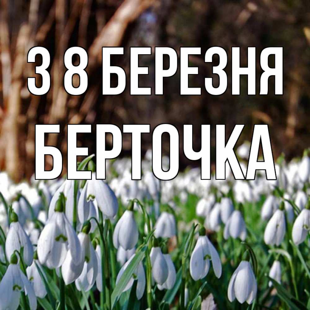Открытка на каждый день з підписом, Берточка З 8 БЕРЕЗНЯ с подснежниками 1 Прикольна листівка з побажанням онлайн скачати безкоштовно 