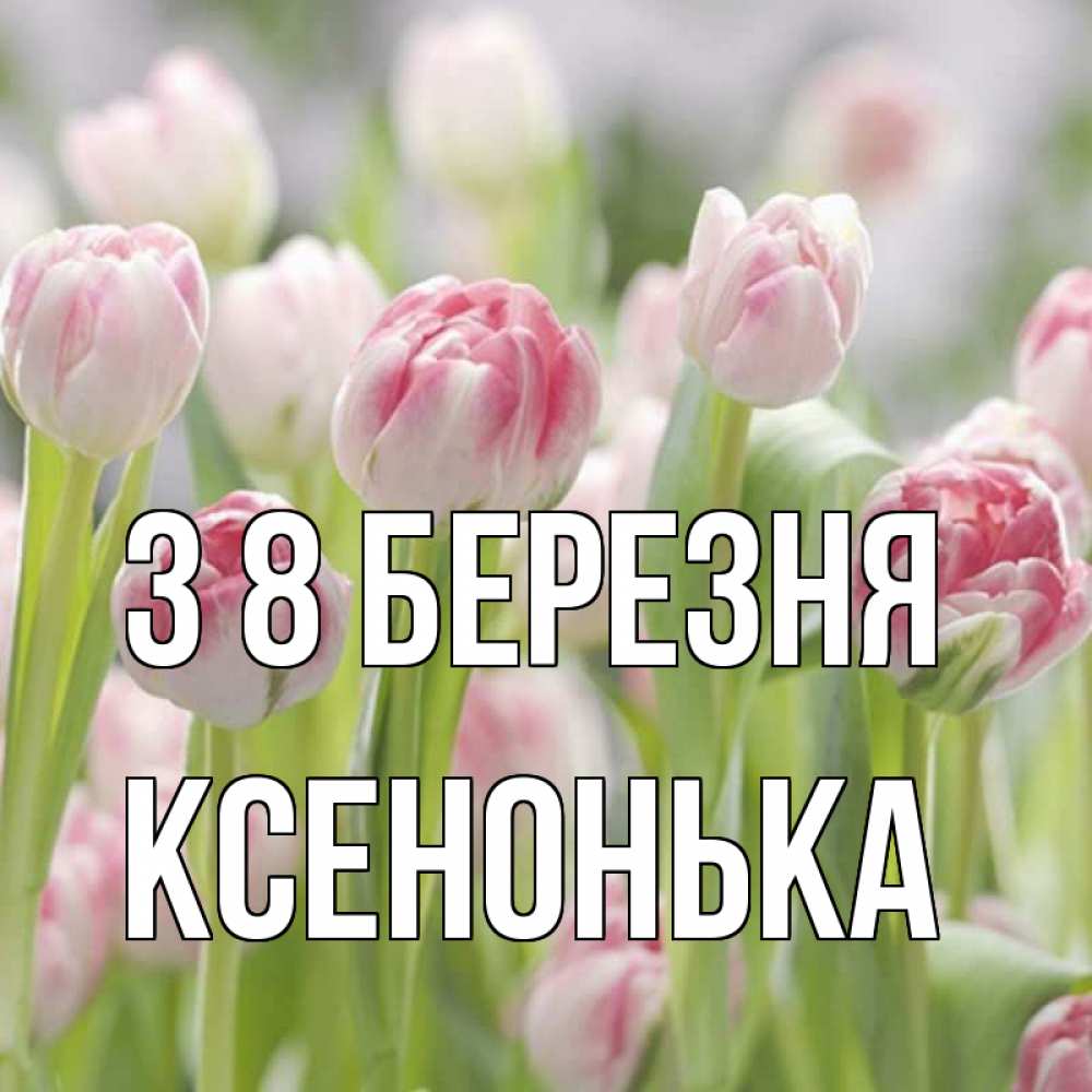 Открытка на каждый день з підписом, Ксенонька З 8 БЕРЕЗНЯ цветы Прикольна листівка з побажанням онлайн скачати безкоштовно 