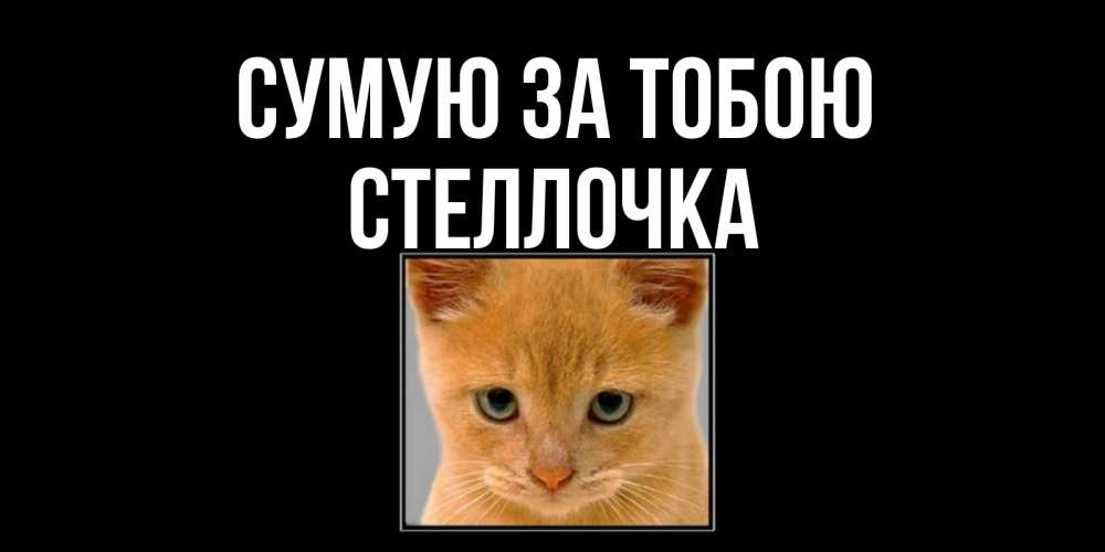 Открытка на каждый день з підписом, Стеллочка Сумую за тобою открытки рыжий котенок скучает по тебе Прикольна листівка з побажанням онлайн скачати безкоштовно 