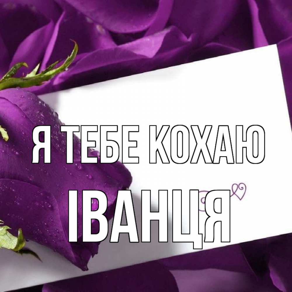 Открытка на каждый день з підписом, Іванця Я тебе кохаю роза Прикольна листівка з побажанням онлайн скачати безкоштовно 