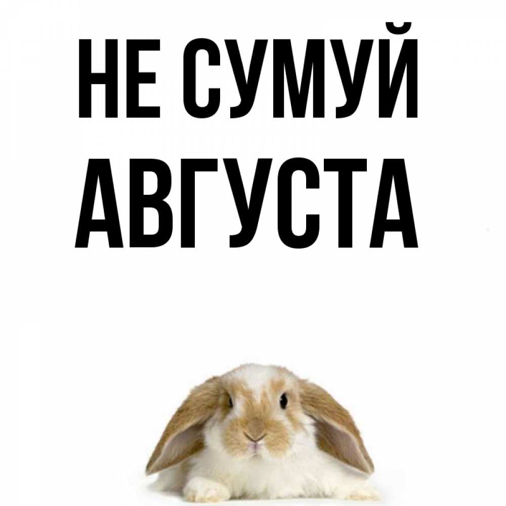 Открытка на каждый день з підписом, Августа Не сумуй коричнево белый заяц с большими ушками Прикольна листівка з побажанням онлайн скачати безкоштовно 