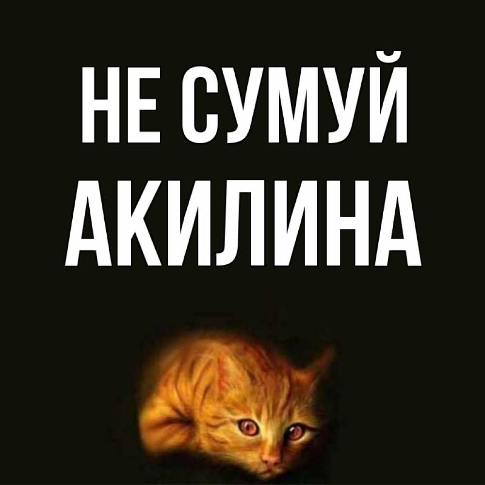 Открытка на каждый день з підписом, Акилина Не сумуй лежащий кот в темноте Прикольна листівка з побажанням онлайн скачати безкоштовно 