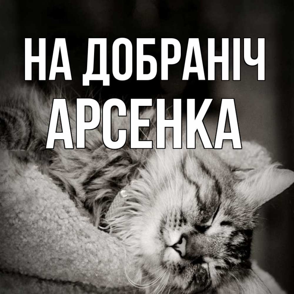 Открытка на каждый день з підписом, Арсенка На добраніч котярик пушистый Прикольна листівка з побажанням онлайн скачати безкоштовно 